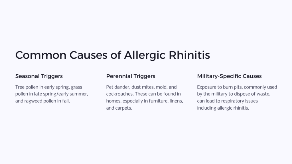 Causes of Allergic Rhinitis infographic