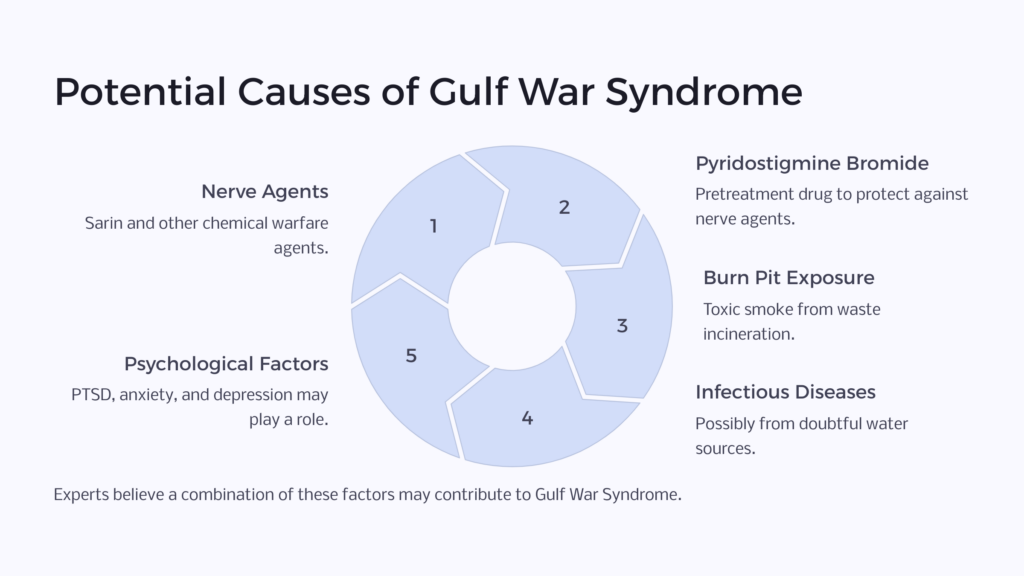 Gulf War Syndrome Causes infographic