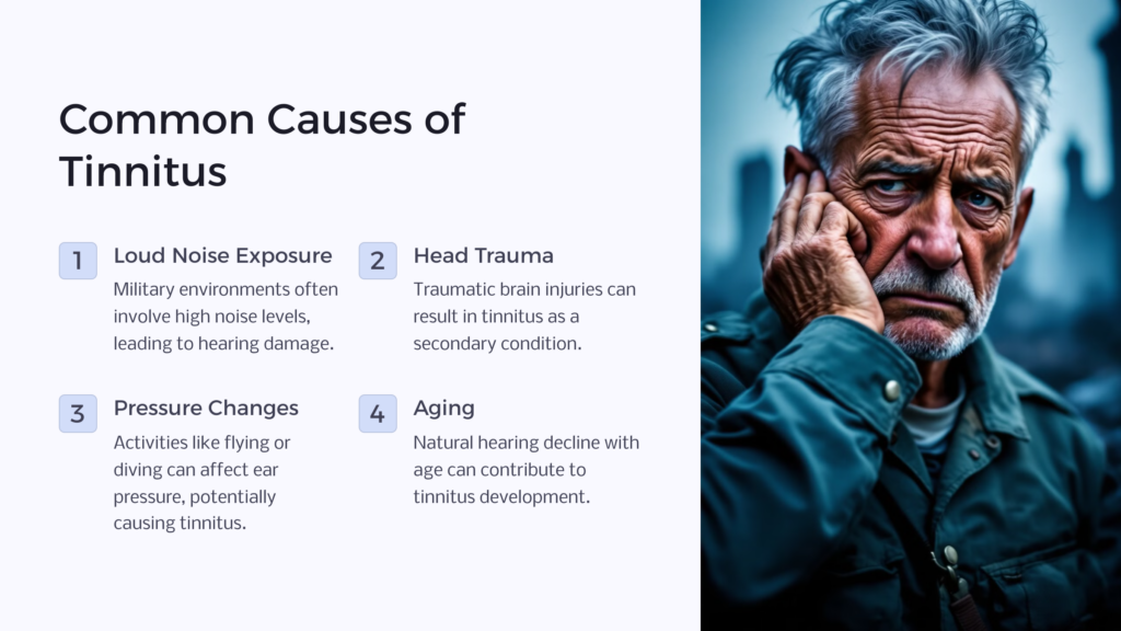 Common Causes of Tinnitus infographic