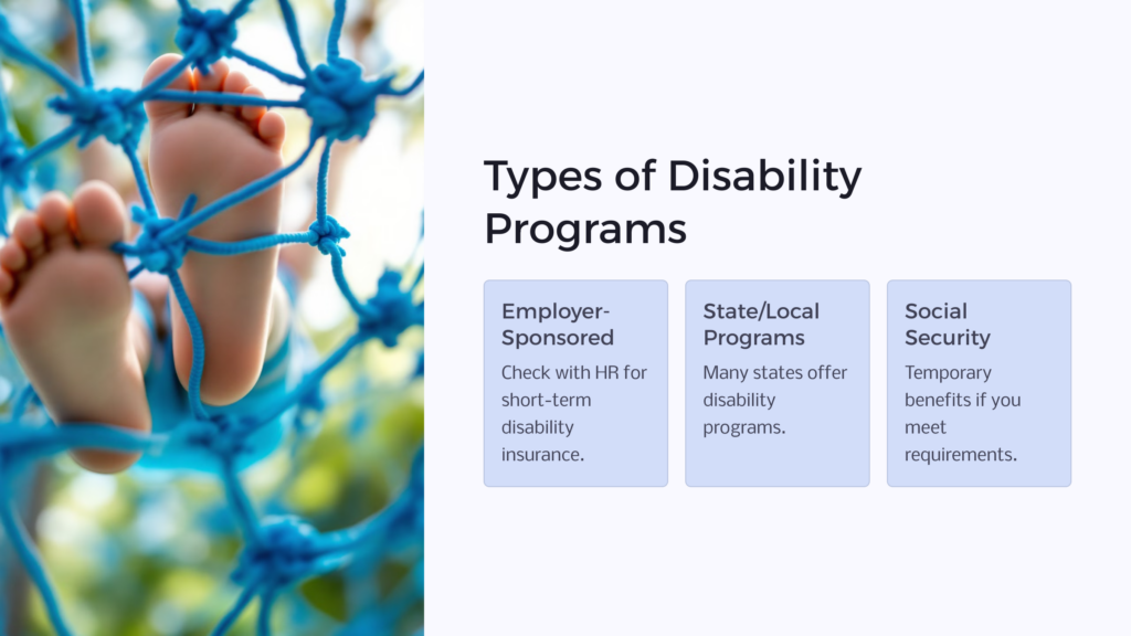 Disability Program Types infographic