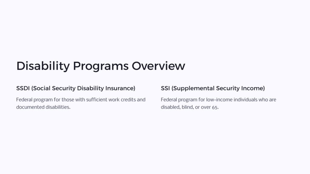 disability programs infographic