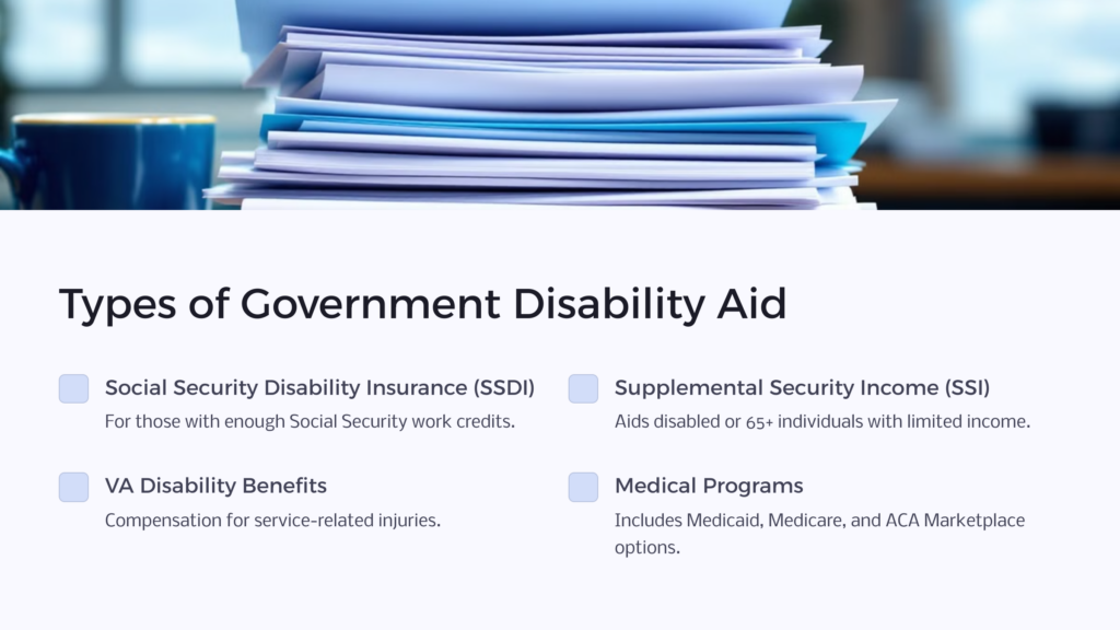 Government Disability Aid infographic