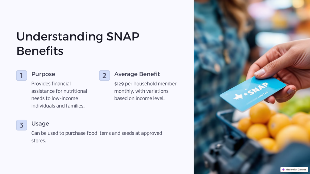 Understanding Snap benefits infographic