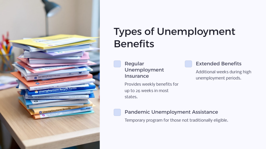 Unemployment Benefits Type infographic