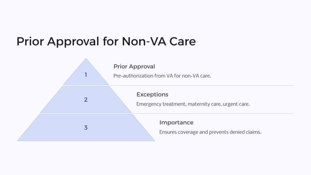 Approval in Non-VA Emergency Cases infographic